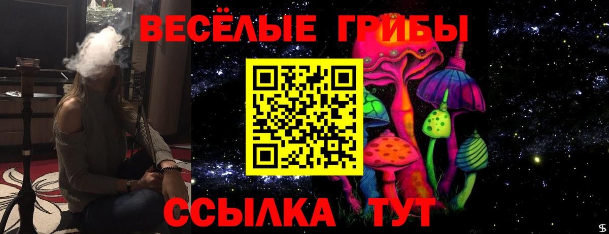 Сергиев Посад  Псилоцибиновые грибы Cubensis  Вход с VPN 